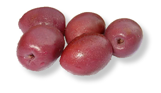 Aceitunas de Botija