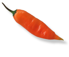 aji_amarillo